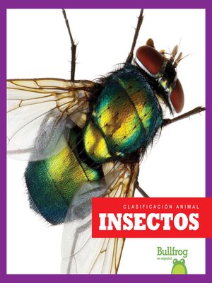 cover image of Insectos (Insects)
